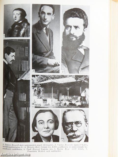 Világirodalmi Lexikon 1-19.