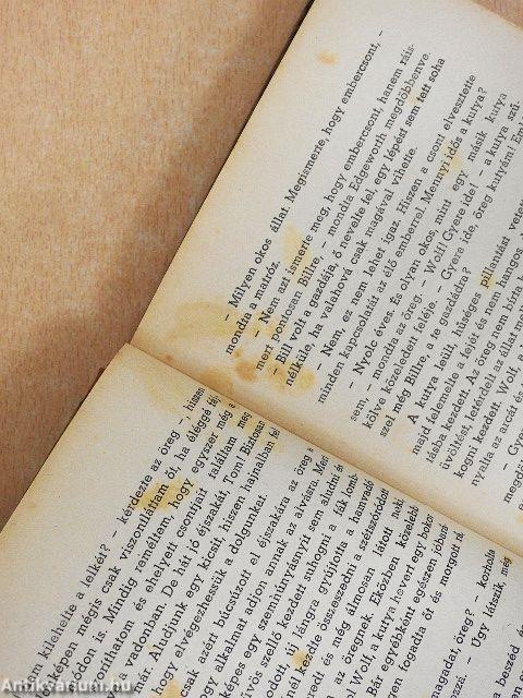 Kalózvilág a Mississippin