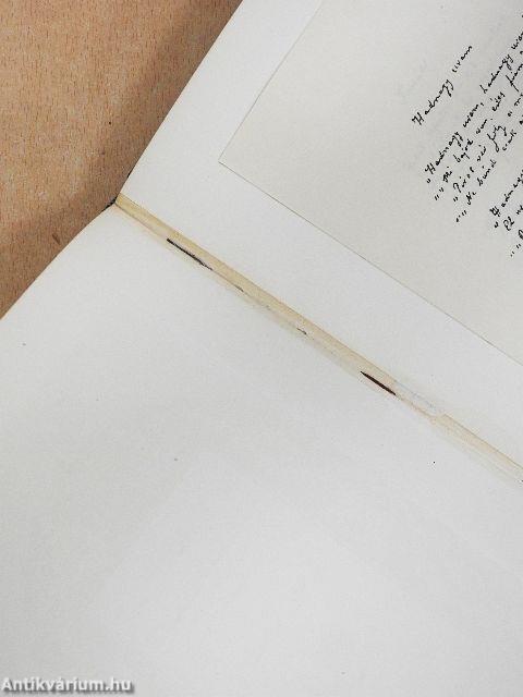 Pintér Jenő magyar irodalomtörténete I-II.