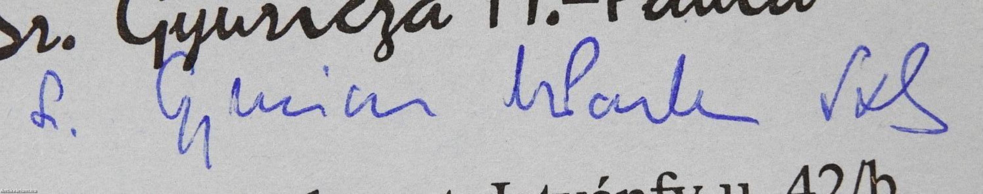 Lelki Napló (dedikált példány)