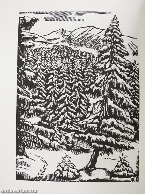 Az istenszéke alatt (kétszeresen dedikált példány)