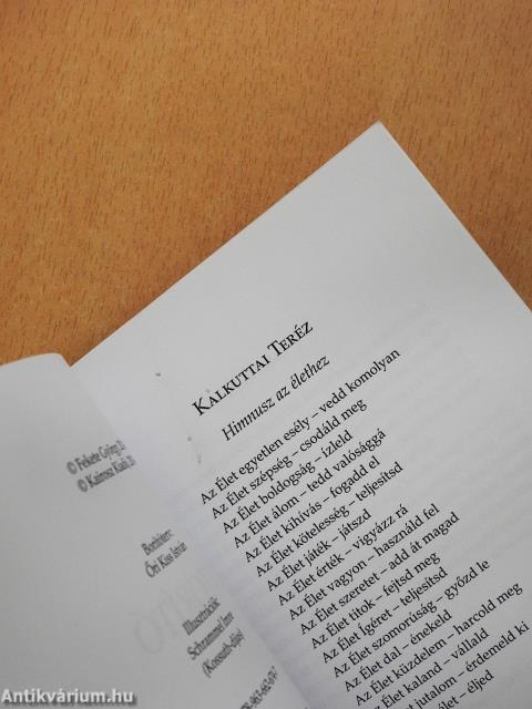 Bátorító (dedikált példány) 