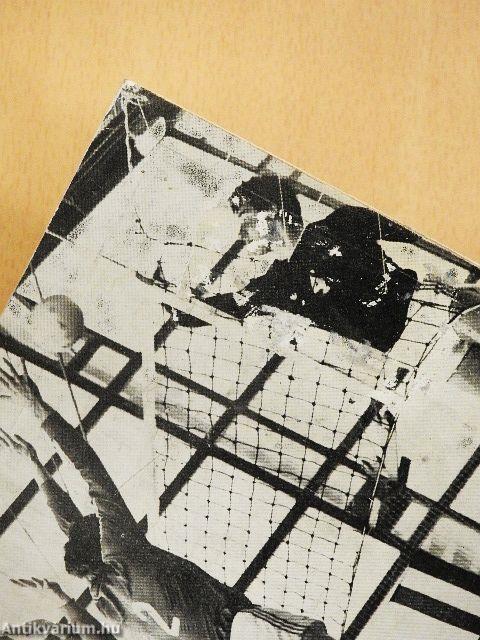 Röplabda mindentudó