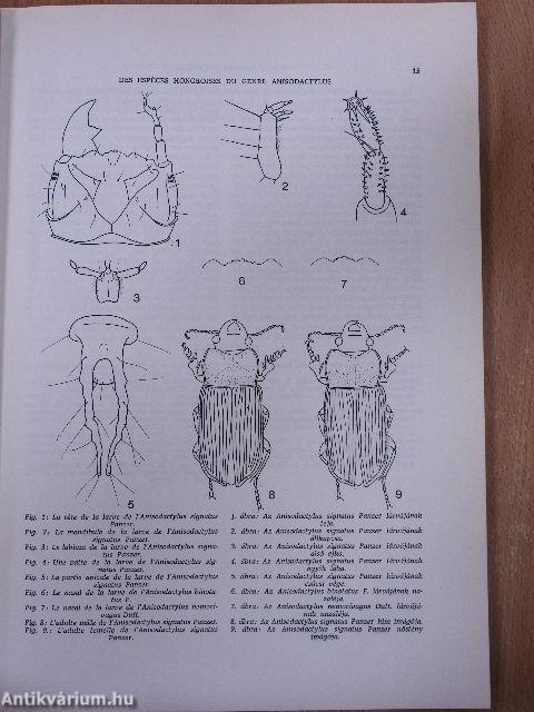 A Janus Pannonius Múzeum évkönyve 1981