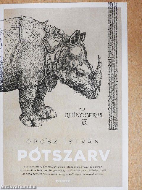 Pótszarv