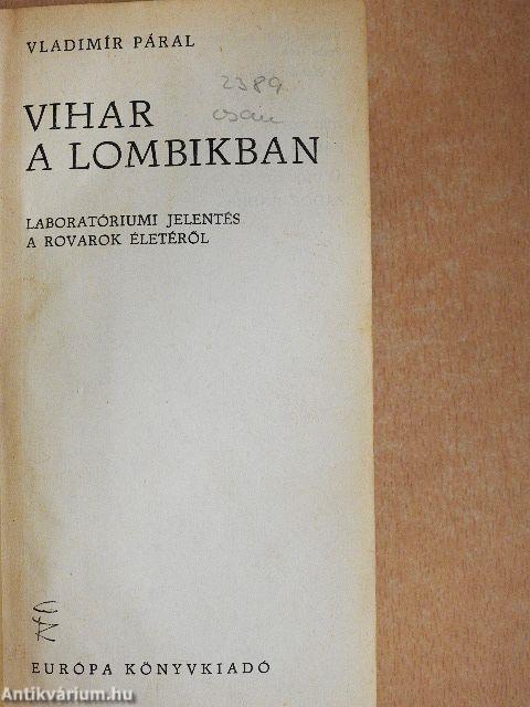 Vihar a lombikban/Híd a semmibe/A vizsgálat/A francia "új regény"/A szökés