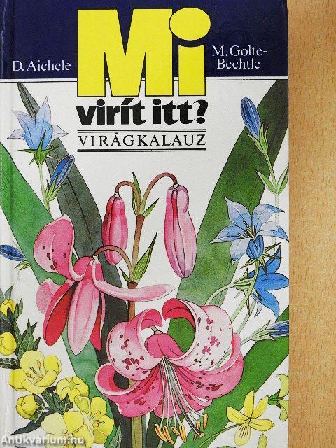 Mi virít itt?