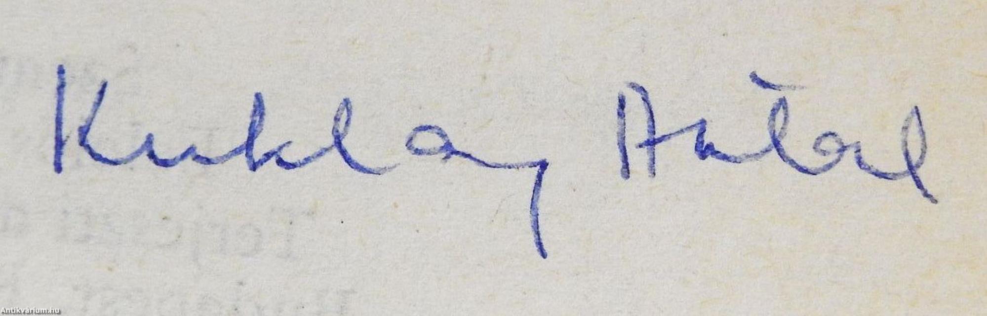 A kráter peremén (dedikált példány)