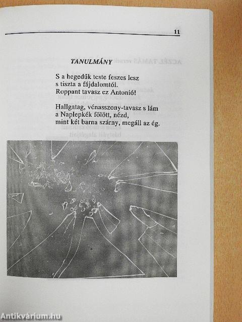 Határ 1992. május