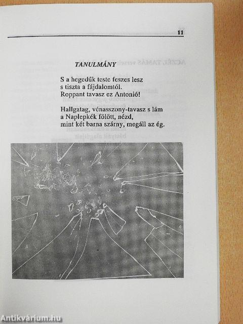 Határ 1992. május