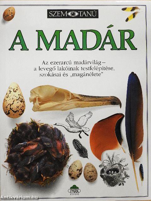 A madár