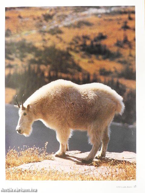 Fotografie draußen Mai 1998