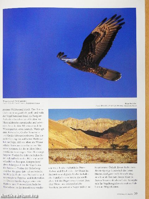 Fotografie draußen Mai 1998