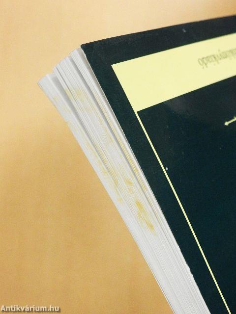 A gazdasági optimalizálás módszerei II.