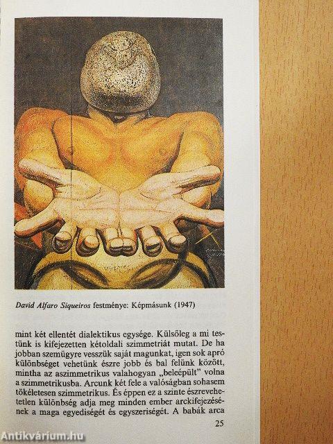 Élet és szimmetria