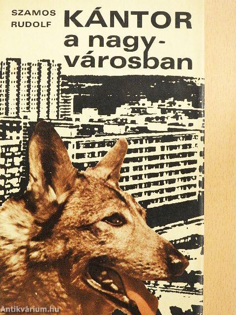 Kántor a nagyvárosban