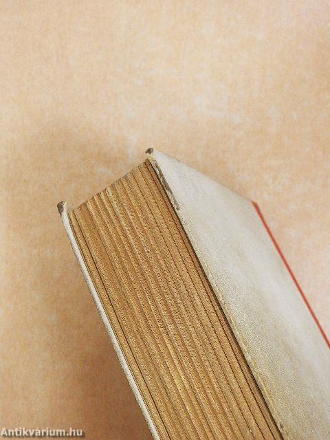 Tizenötéves feleség...