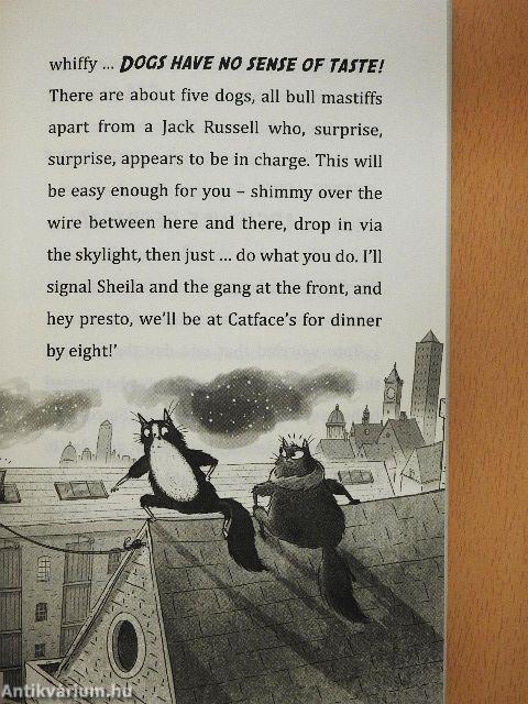 Toto the Ninja Cat and the Superstar Catastrophe