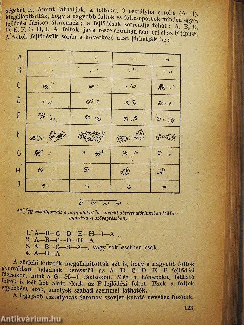 Nap, Föld, Emberiség