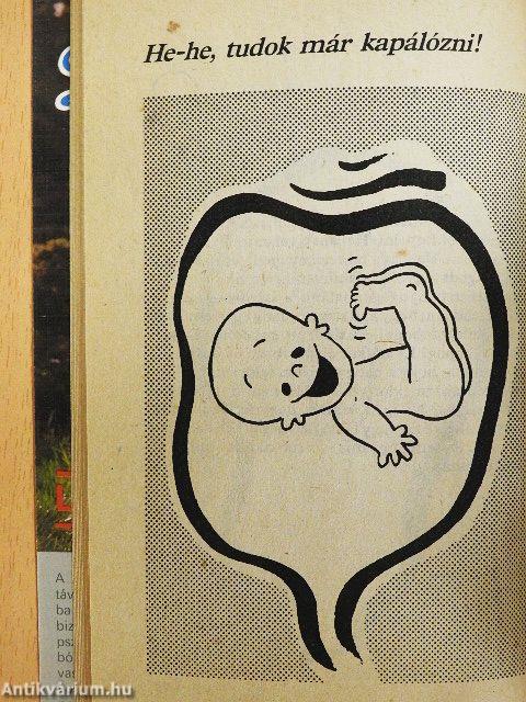 Hahó, megérkeztem!