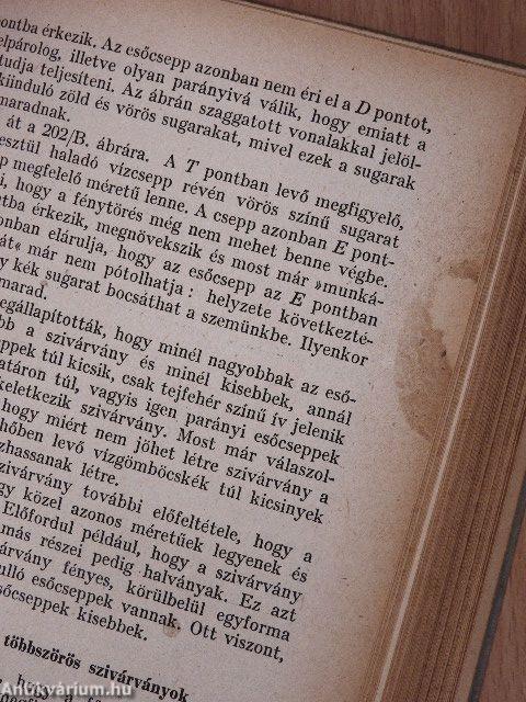 Nap, Föld, Emberiség