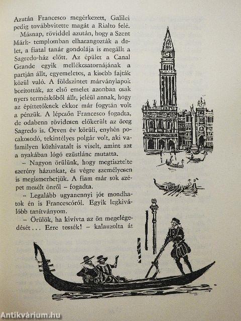 A hiúz a napba néz