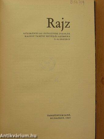 Rajz 