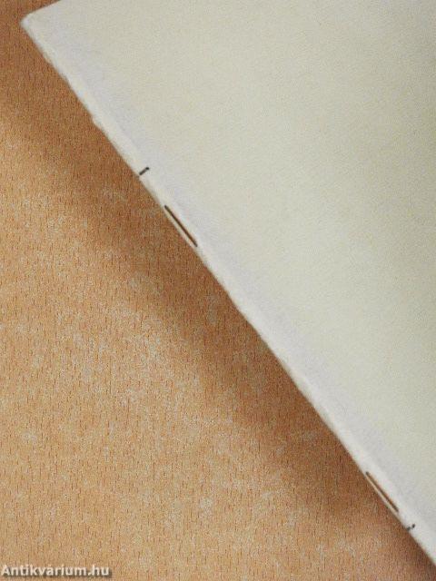 Szolnok megye népművészete