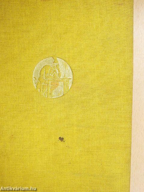 Elza pilóta vagy a tökéletes társadalom