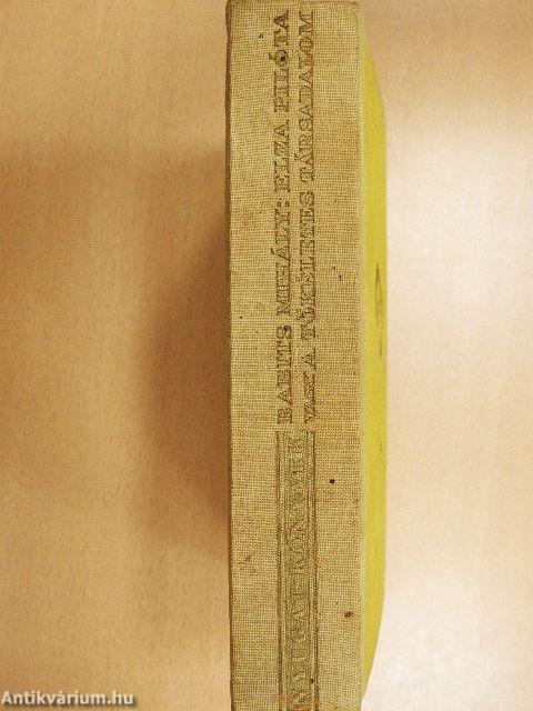 Elza pilóta vagy a tökéletes társadalom