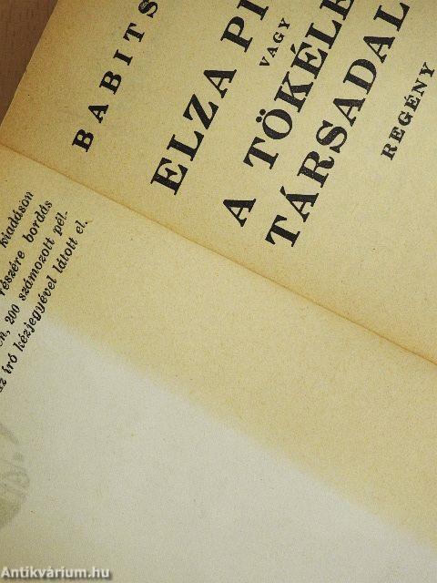 Elza pilóta vagy a tökéletes társadalom