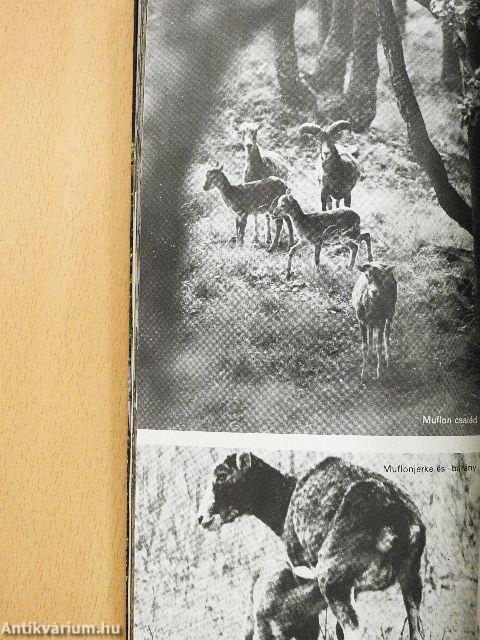 Szalajka-völgyi Erdei Múzeum