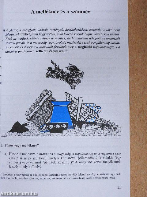 Magyar nyelvi munkafüzet 6.