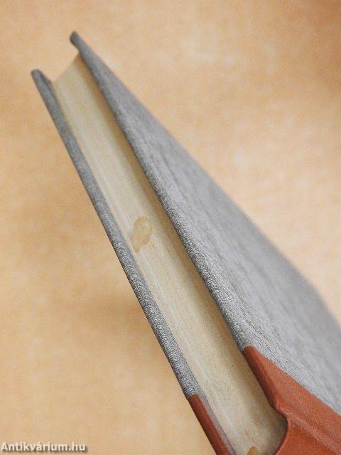 "A német ideológia" történetfelfogása