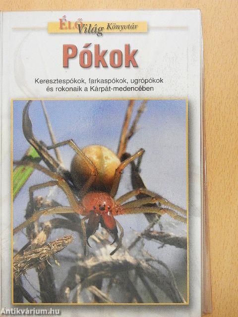 Pókok