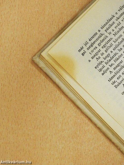 Óbudától Firenzéig