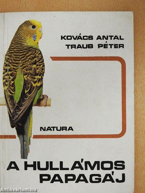 A hullámos papagáj