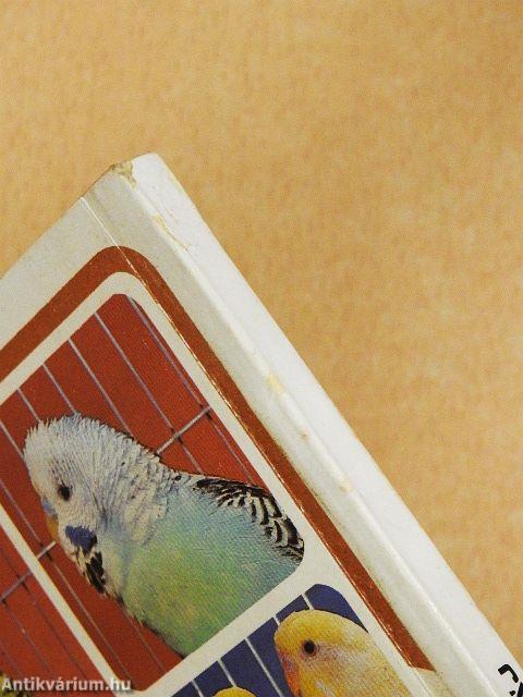 A hullámos papagáj