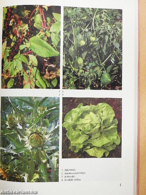 Különleges kerti növények