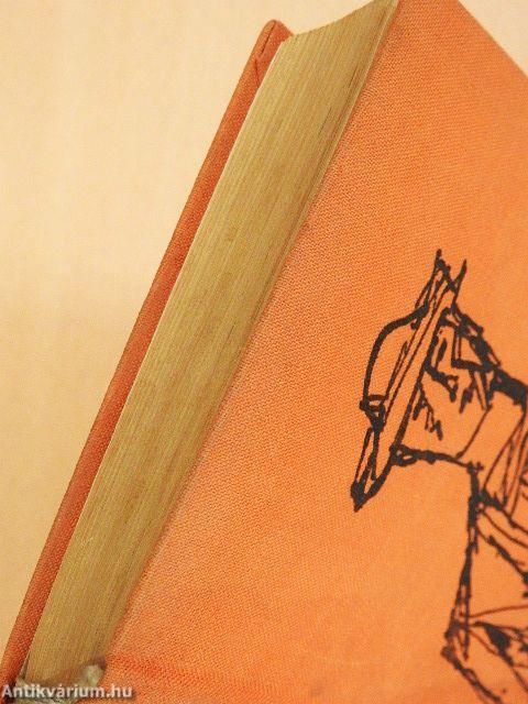 Hajsza a dzsungelben