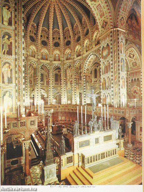 Discover Padua... and its surroundings