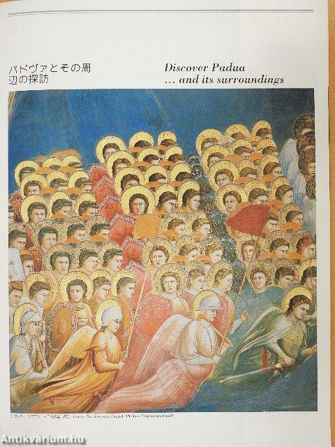 Discover Padua... and its surroundings