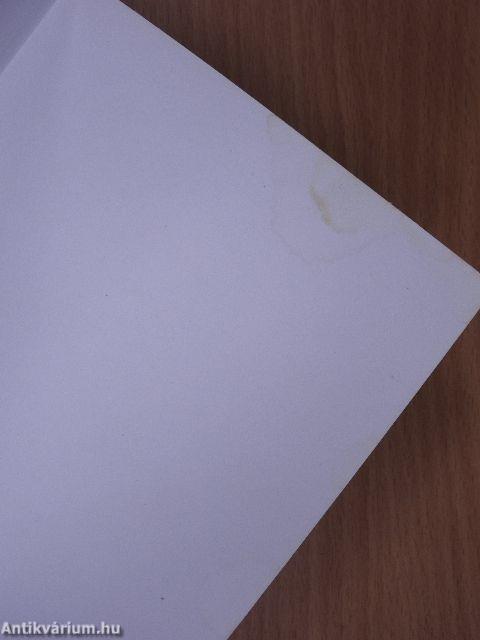 Magyar-olasz kéziszótár