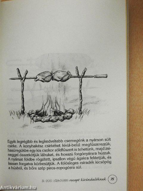 A 100 legjobb recept kirándulóknak