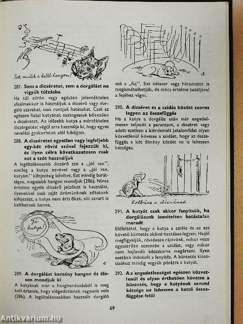 400 tanács kutyakedvelőknek