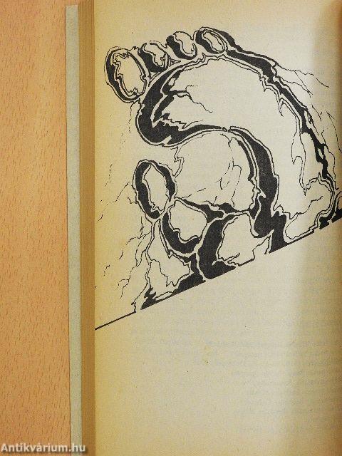 Ádám előtt/Kőkori történet