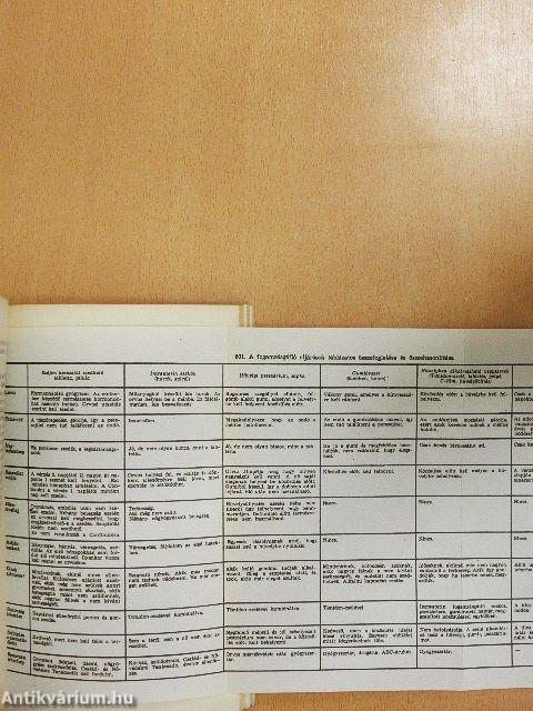 A házasélet abc-je