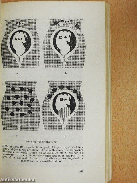 A házasélet abc-je