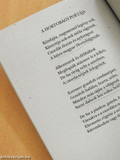 Ady Endre válogatott versei 