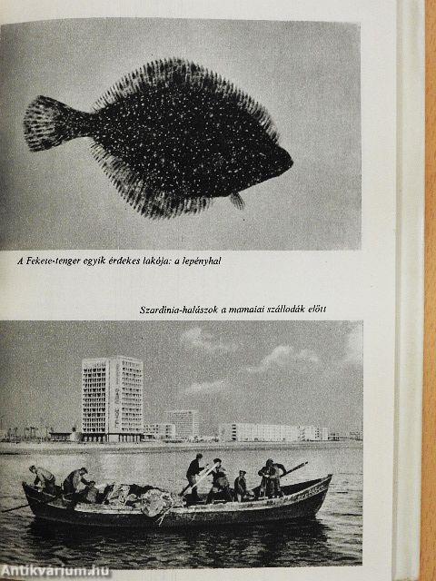 Hálóval a tengeren